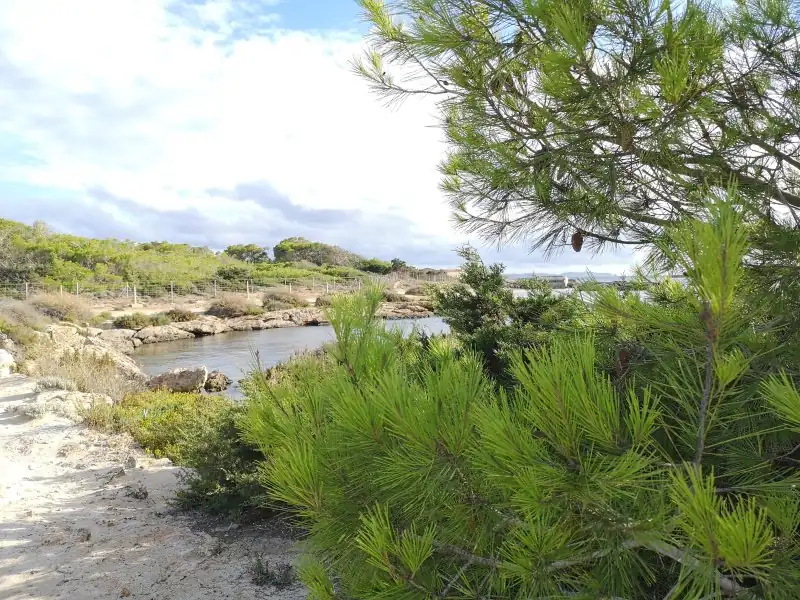Küstenwanderung in Colonia de Sant Jordi