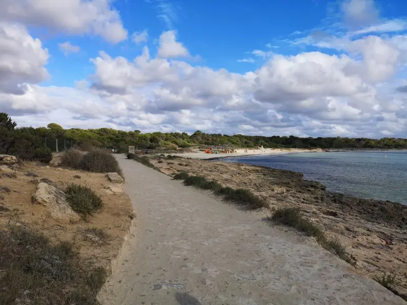 Weg zum Platja d’es Dolc in Colonia de Sant Jordi