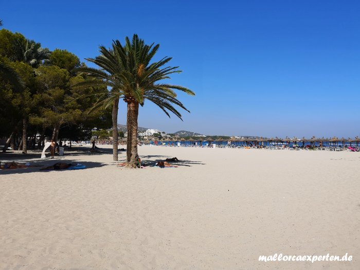 Palmanova Strand