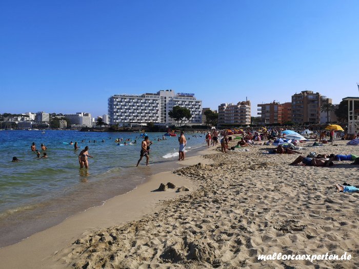 Badeurlaub Palmanova Mallorca