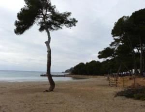 Strand von Paguera