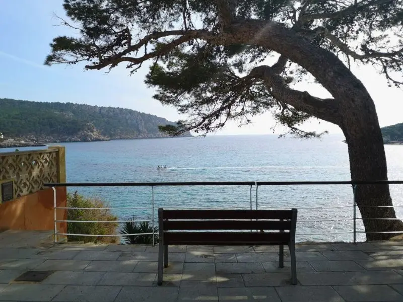 Bank mit Meerblick in Sant Elm auf Mallorca