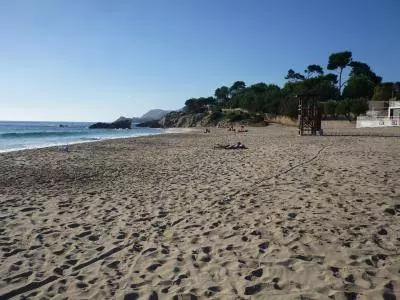 Strand Son Moll in Cala Ratjada Strand Son Moll