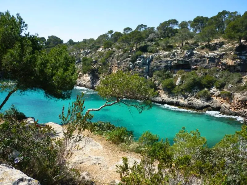 Schöne Bucht auf Mallorca: Cala Pi