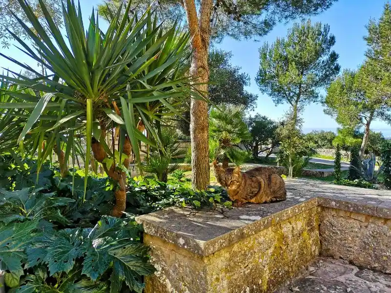 Garten mit Katze im Kloster Randa