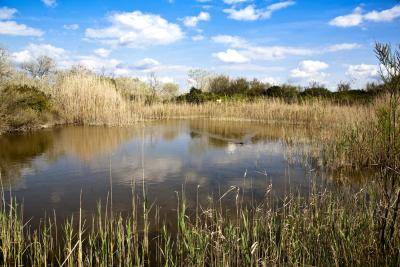 S´Albufera Mallorca