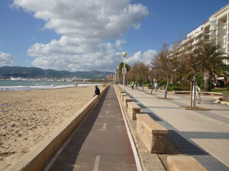 Radweg zur Kathedrale Palma de Mallorca