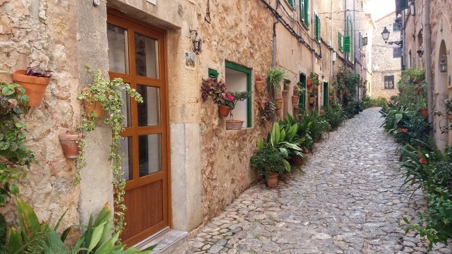 Valldemossa Mallorca Blumenstraße