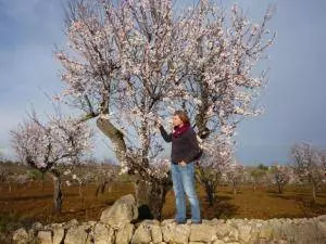 Mallorca Urlaub im Frühling