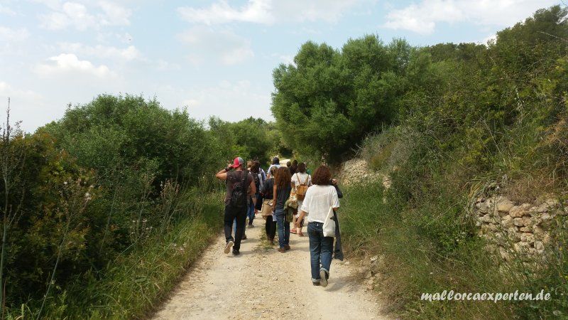 Kräuterwanderung auf Mallorca