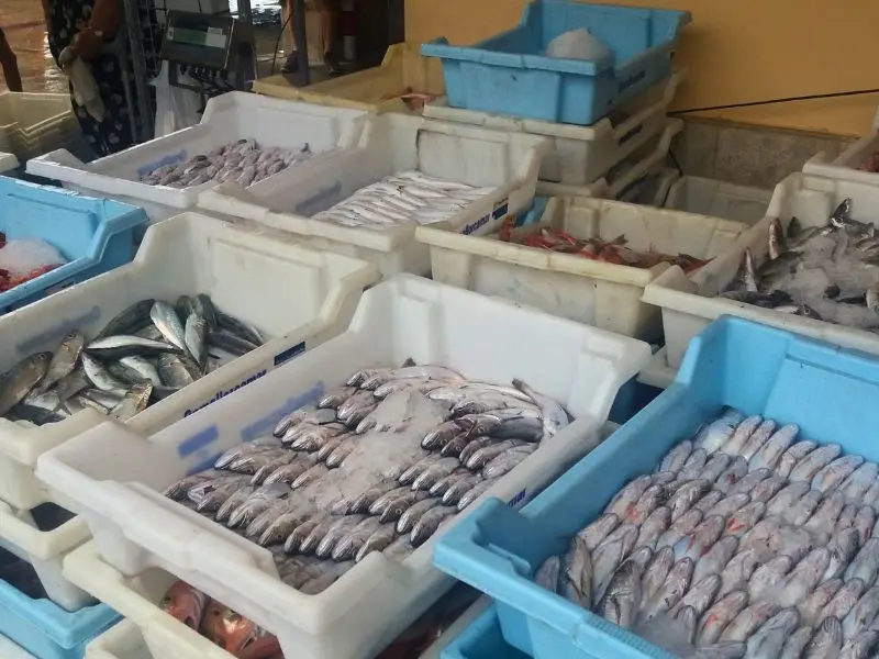 Fischverkauf im Hafen von Cala Figuera