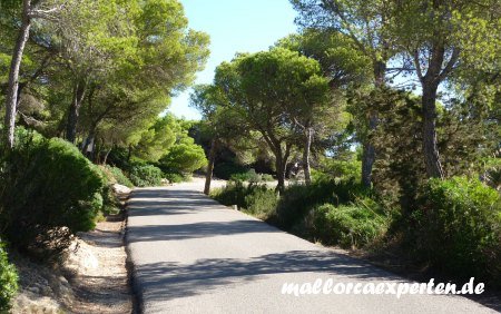 Cala Ratjada Weg Leuchtturm