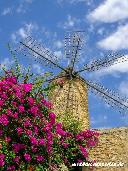 Windmühle in Sineu Mallorca