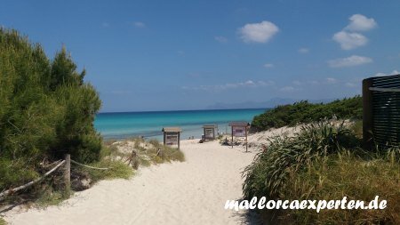 Schönste Strände Mallorca