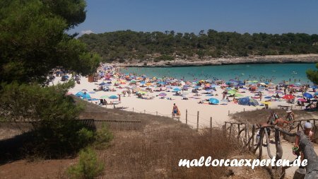 feiner Sandstrand Mallorca