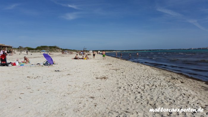 Strand Es Trenc im Frühling