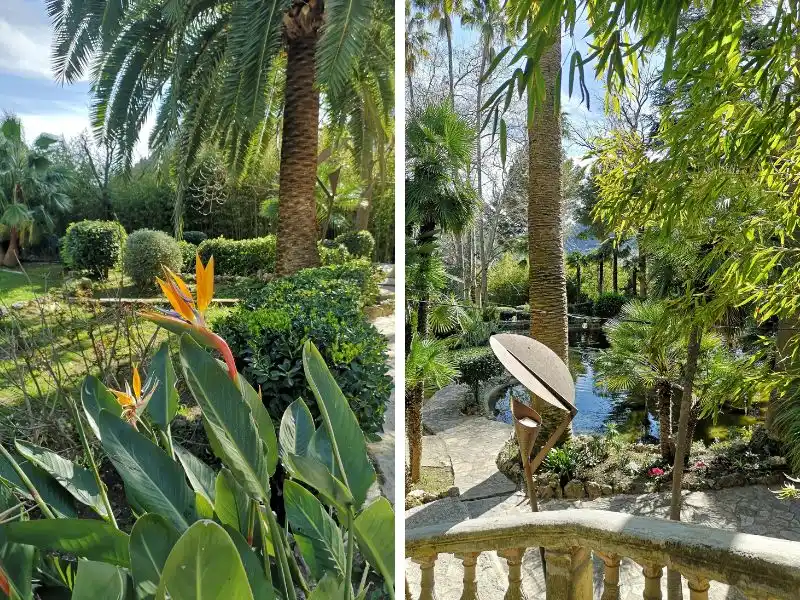 Teich und Papageienblumen in den Jardins d'Alfabia Mallorca