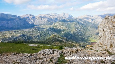 Castell Alaro