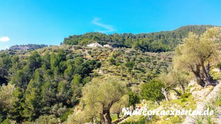 Castell Alaro
