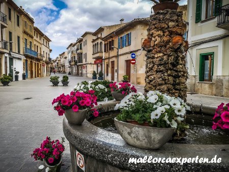 Viehtränke Llucmajor Mallorca