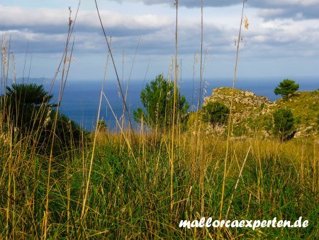 Mallorca Ermita de Betlem Ausblick