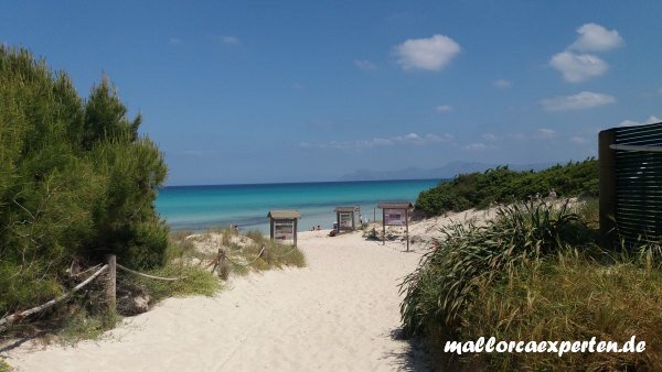 Playa de Muro Sektor II Mallorca Playa de Muro Sektor II