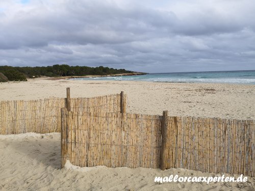 Strand in Sa Coma Mallorca