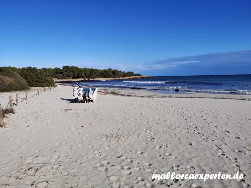 Strand und Strandliegen Sa Coma
