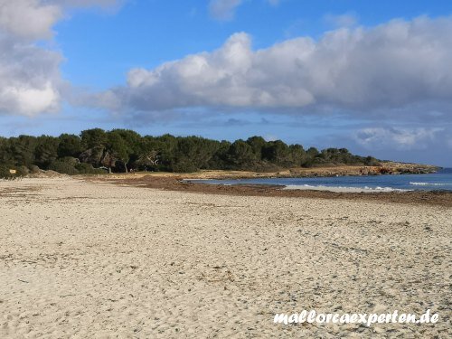 Strand Sa Coma und Naturschutzgebiet